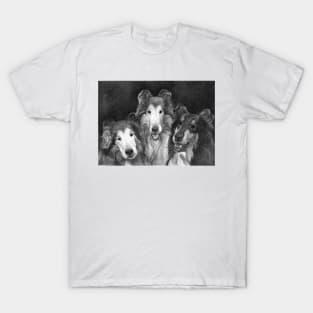 COLLIE TRIO T-Shirt